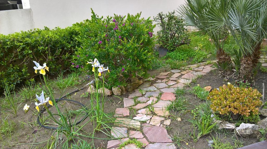Appartamento Tulipano Alguer Exterior foto